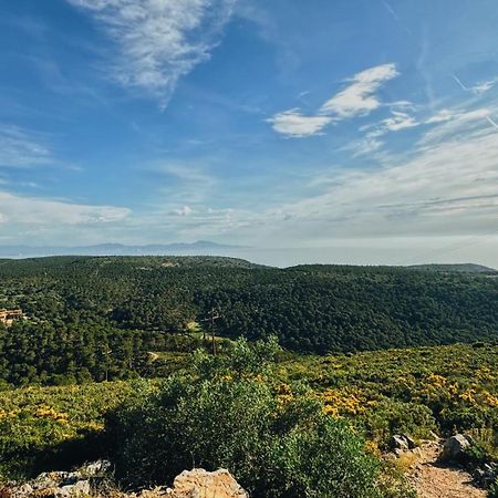 Can Romy Appartement T3 B - A 20M De La Plage De Cala Montgo L' Escala Екстериор снимка