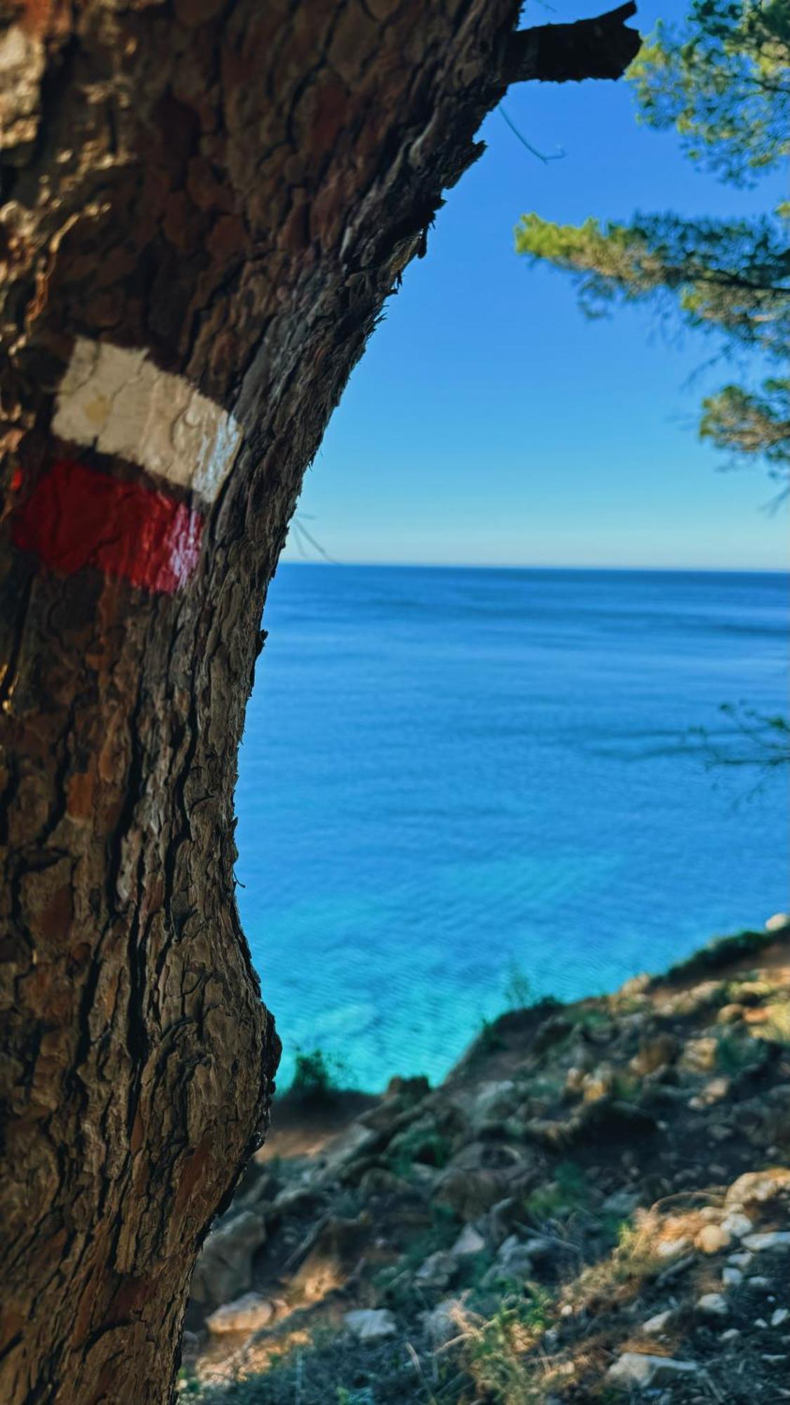 Can Romy Appartement T3 B - A 20M De La Plage De Cala Montgo L' Escala Екстериор снимка